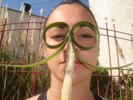 Délire des Lunettes